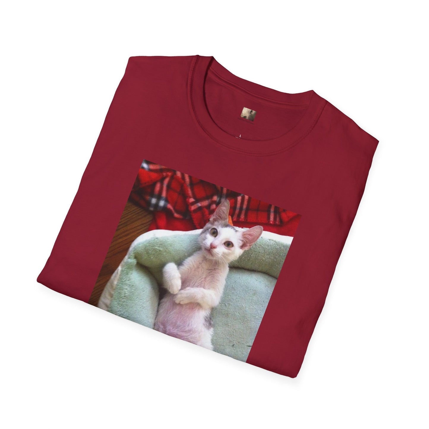 The Original "Be Special" Tito-T | Cat Lover Unisex T-Shirt | Cute Gift, Casual Wear
