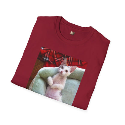 The Original "Be Special" Tito-T  | Cat Lover Unisex T-Shirt |  Cute Gift, Casual Wear